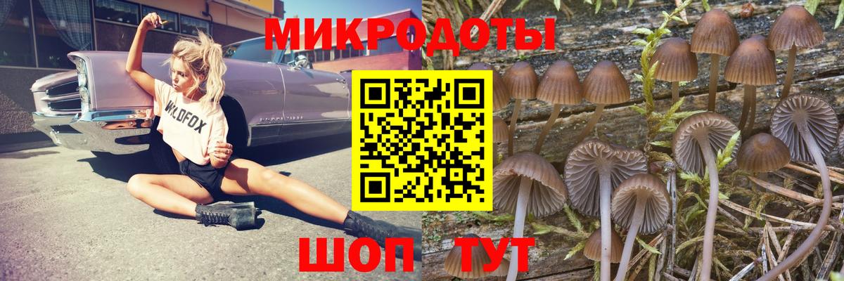 Ульяновск  Галлюциногенные грибы мухоморы  Вход с VPN  Галлюциногенные грибы Magic Shrooms 